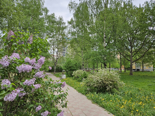 Продам однокомнатную (1-комн.) квартиру, Богатырский пр-кт, 47Ак2, Санкт-Петербург г