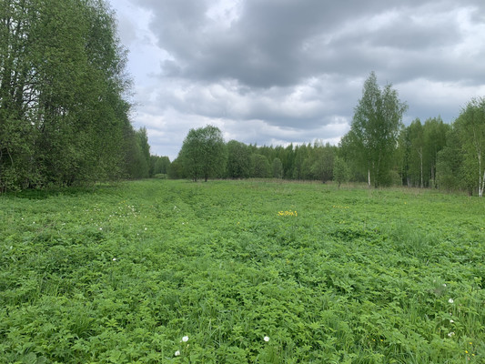 Продам участок 32 соток, ИЖС, Путилово с, 0 км от города