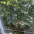 Продам трехкомнатную (3-комн.) квартиру, им. Селезнева ул, 104, Краснодар г