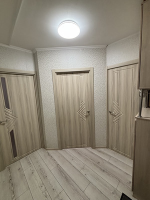Продам однокомнатную (1-комн.) квартиру, Фёдора Абрамова ул, 20Ак1, Парголово п