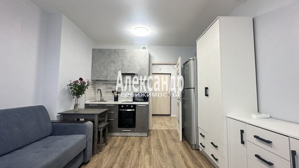 Продам однокомнатную (1-комн.) квартиру, Муринская дор, 27к3, Санкт-Петербург г