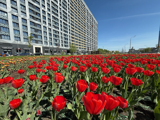 Продам однокомнатную (1-комн.) квартиру, Серебрякова проезд, 11к2, Москва г
