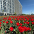 Продам однокомнатную (1-комн.) квартиру, Серебрякова проезд, 11к2, Москва г