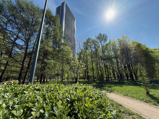 Продам однокомнатную (1-комн.) квартиру, Серебрякова проезд, 11к2, Москва г