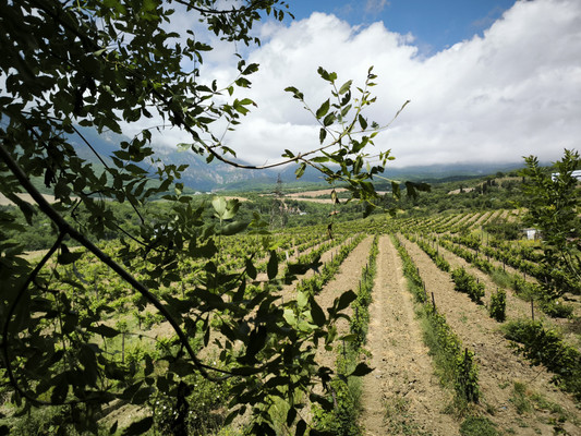 Продам гараж 124 м2, Зеленый пер, 19, Гурзуф пгт