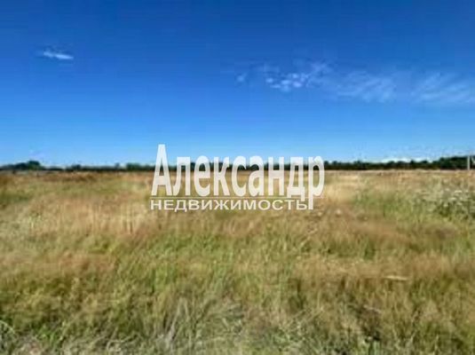 Продам участок 12,5 соток, ИЖС, Сяглицы п, 150 км от города