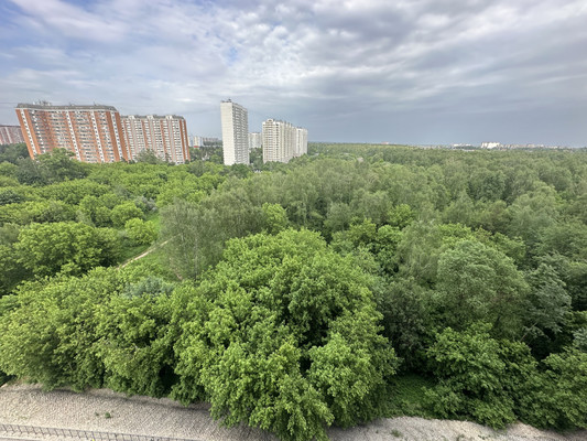 Продам однокомнатную (1-комн.) , Проектируемый проезд, 3к1, Люберцы г