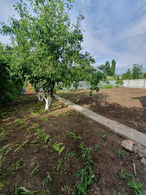 Продам дом, Волгодонской Садовод тер. СНТ, Волгодонск г, 0 км от города