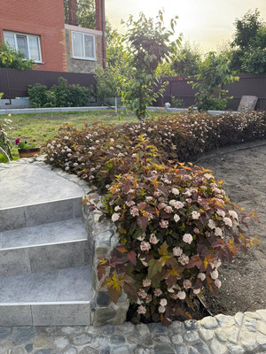 Продам дом, Генерала Кириченко ул, 6, Борисовка с, 0 км от города