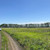 Продам участок 11 соток, ИЖС, Весенняя ул, Девица с, 0 км от города