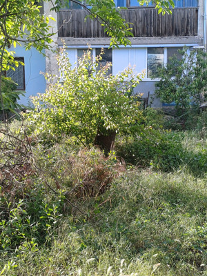 Продам двухкомнатную (2-комн.) квартиру, Садовая ул, 1, Табачное с