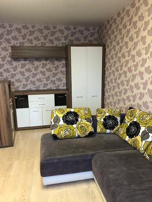 Продам однокомнатную (1-комн.) квартиру, Бадаева ул, 14Ак1, Санкт-Петербург г