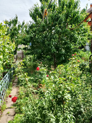 Продам дом, Томская ул, 23, Ростов-на-Дону г, 0 км от города