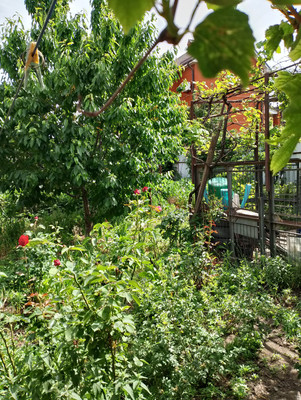 Продам дом, Томская ул, 23, Ростов-на-Дону г, 0 км от города