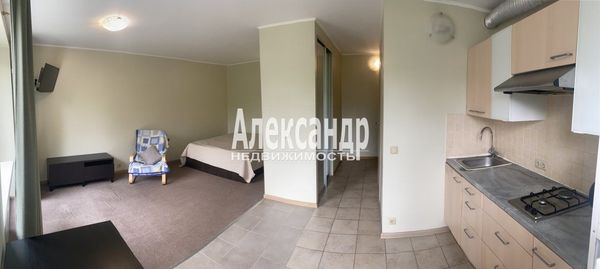 Продам однокомнатную (1-комн.) квартиру, Школьная ул, 64, Санкт-Петербург г