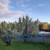 Продам участок 9 соток, Фермерское хоз., Таёжная (300306 кв-л) ул, 168, Тальский с/с, 0 км от города