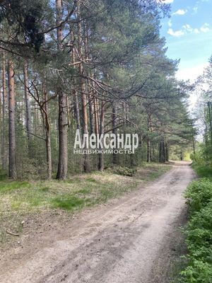 Продам участок 12 соток, ИЖС, Садовая ул, Приозерск г, 120 км от города