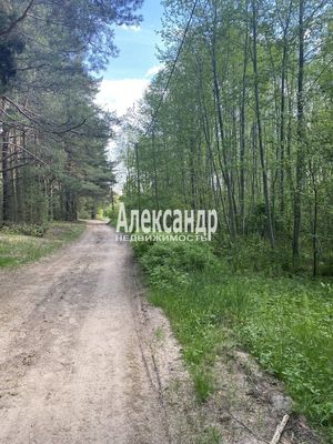 Продам участок 12 соток, ИЖС, Садовая ул, Приозерск г, 120 км от города