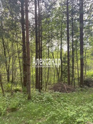 Продам участок 12 соток, ИЖС, Садовая ул, Приозерск г, 120 км от города