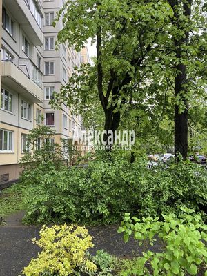 Продам трехкомнатную (3-комн.) квартиру, Энергетиков пр-кт, 48, Санкт-Петербург г