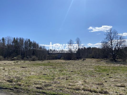 Продам участок 31,9 соток, ИЖС, Хвойное д, 100 км от города