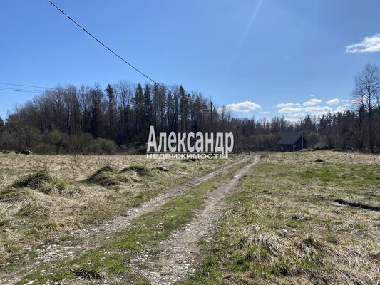 Продам участок 31,9 соток, ИЖС, Хвойное д, 100 км от города