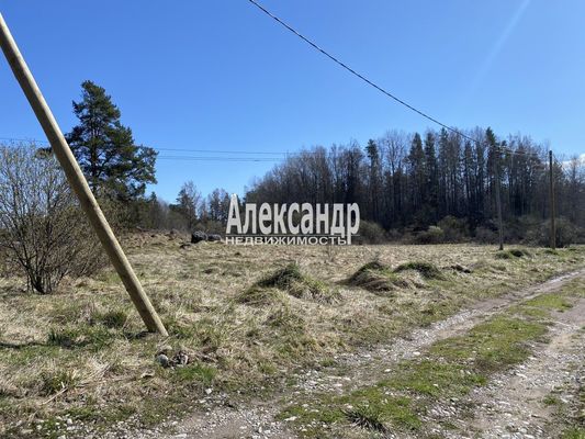 Продам участок 31,9 соток, ИЖС, Хвойное д, 100 км от города