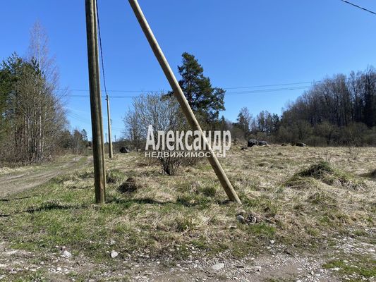 Продам участок 31,9 соток, ИЖС, Хвойное д, 100 км от города
