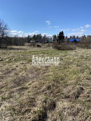 Продам участок 31,9 соток, ИЖС, Хвойное д, 100 км от города