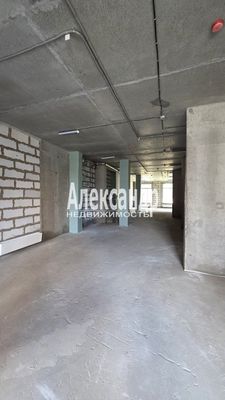 Сдам торговое помещение 120,4 м2, Голландская ул, 18к1, Янино-1 гп