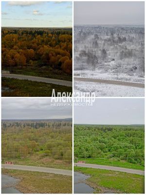 Продам многокомнатную квартиру, Муринская дор, 14к2, Санкт-Петербург г