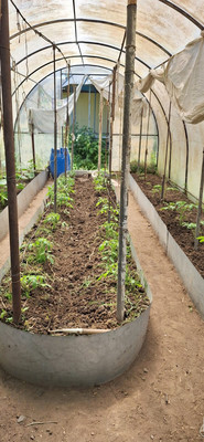 Продам дачу, Летний сад тер. СНТ, 1248, Волгодонск г, 0 км от города