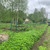 Продам участок 10 соток, Фермерское хоз., Озёрная ул, Пальцево тер., 0 км от города