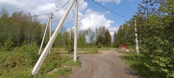Продам участок 12 соток, Фермерское хоз., Луч тер. СНТ, Борисова Грива массив, 0 км от города