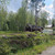 Продам участок 12 соток, Фермерское хоз., Луч тер. СНТ, Борисова Грива массив, 0 км от города