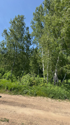 Продам участок 8,4 соток, ИЖС, Красная (Радужный мкр.) ул, Октябрьский г, 0 км от города
