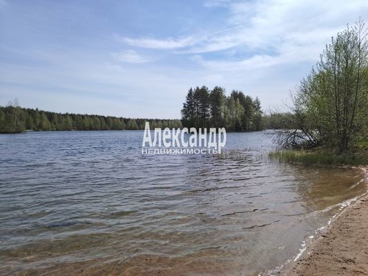 Продам участок 11,72 соток, ИЖС, Озерная ул, 26, Шапки п, 30 км от города
