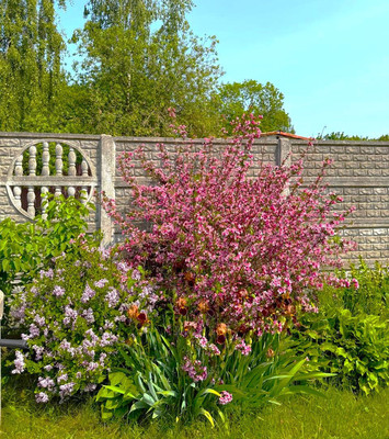 Продам дом, Таганрогская ул, 15, Калининград г, 0 км от города