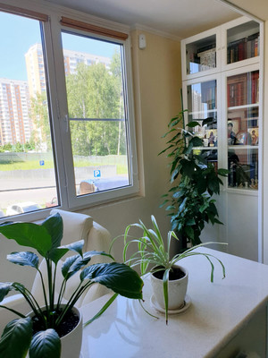 Продам двухкомнатную (2-комн.) квартиру, Северный (Купелинка мкр) кв-л, 5, Сапроново д