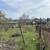 Продам дачу, СТ СПК Факел массив Живописное тер. СПК, Трудовое с, 0 км от города