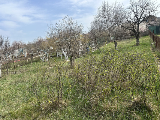 Продам дачу, СТ СПК Факел массив Живописное тер. СПК, Трудовое с, 0 км от города