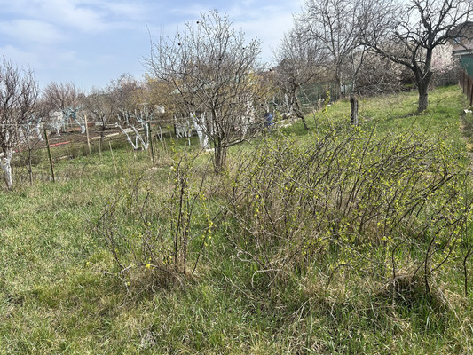Продам дачу, СТ СПК Факел массив Живописное тер. СПК, Трудовое с, 0 км от города