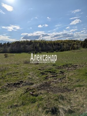 Продам участок 340 соток, Садоводство, Куркиекское ш, Хийтола п, 180 км от города