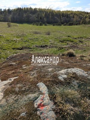 Продам участок 340 соток, Садоводство, Куркиекское ш, Хийтола п, 180 км от города