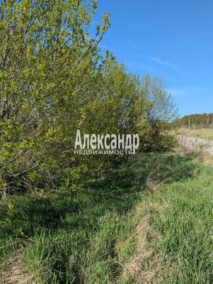 Продам участок 340 соток, Садоводство, Куркиекское ш, Хийтола п, 180 км от города