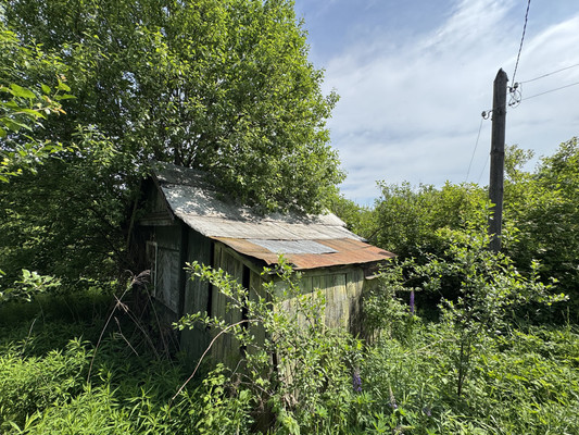 Продам дачу, сдт Чайка тер, Курнявцево д, 0 км от города
