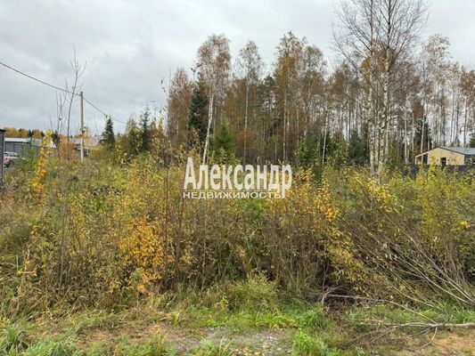 Продам участок 6 соток, ДНП, Заречное тер. СНТ, Мертуть массив, 30 км от города