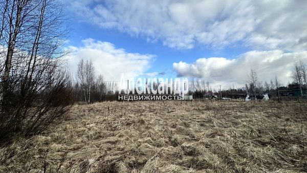 Продам участок 14 соток, СНТ, Бор д, 30 км от города
