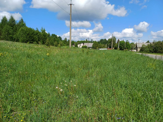 Продам участок 302 соток, ИЖС, Короцко п, 0 км от города