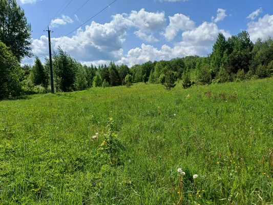 Продам участок 302 соток, ИЖС, Короцко п, 0 км от города